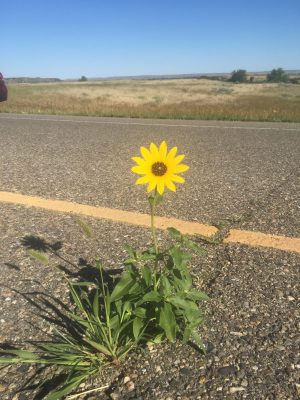 Take A Crack At&nbsp;It