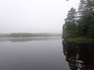 Anniversary Happiness